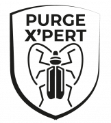 Purge X'pert